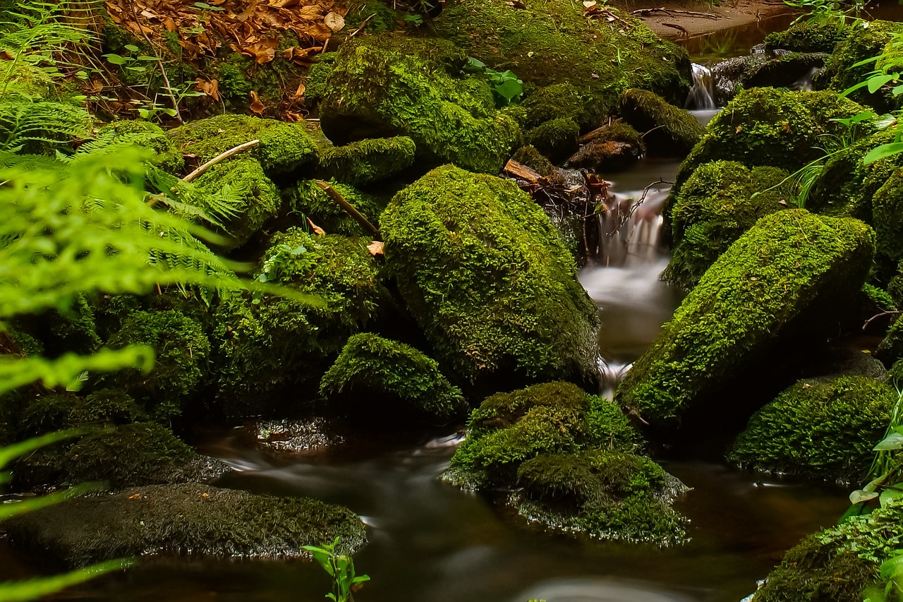 How to Paint a Rushing Stream in Acrylic